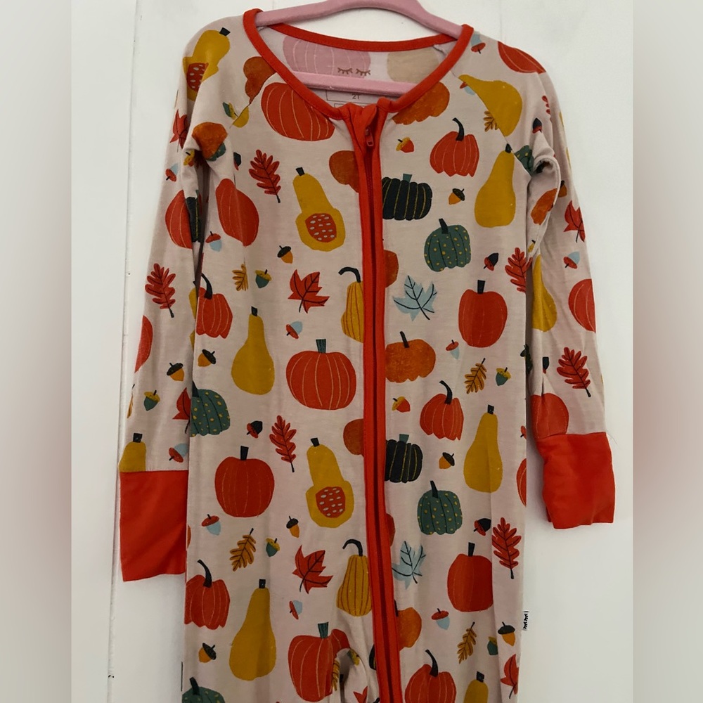 Little Sleepies Autumn Harvest Zippy Bamboo Pumpkins Squash Fall Size 2T